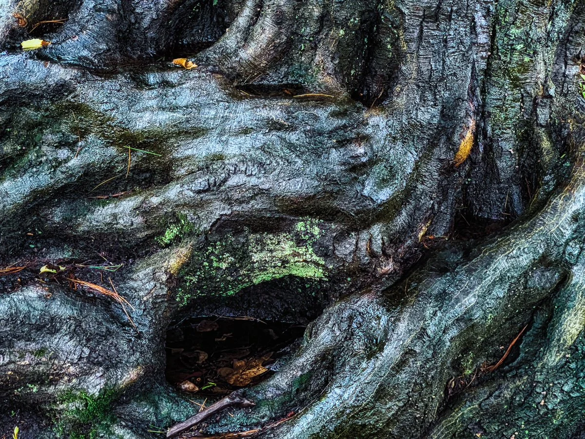 IMG_3419-Edit.jpg
