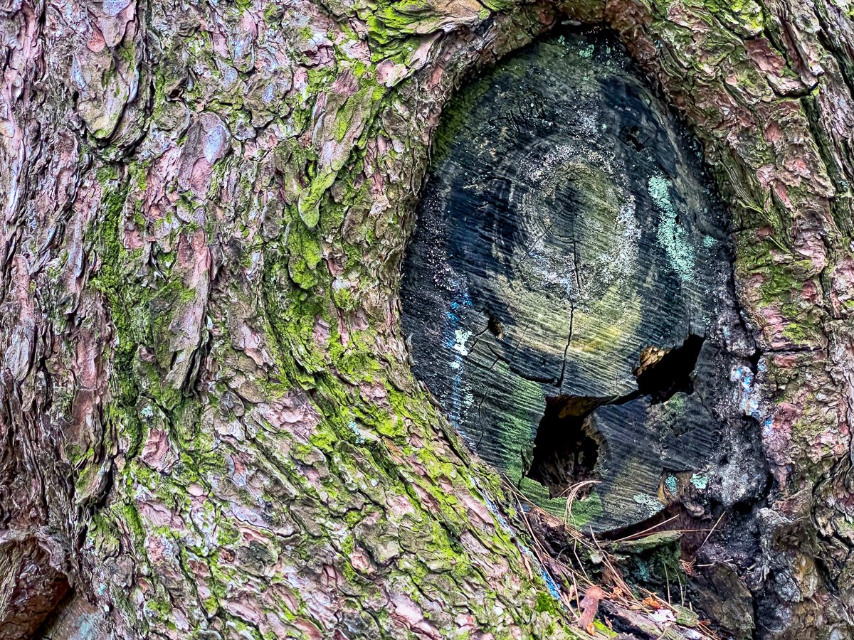 Healing and Decay