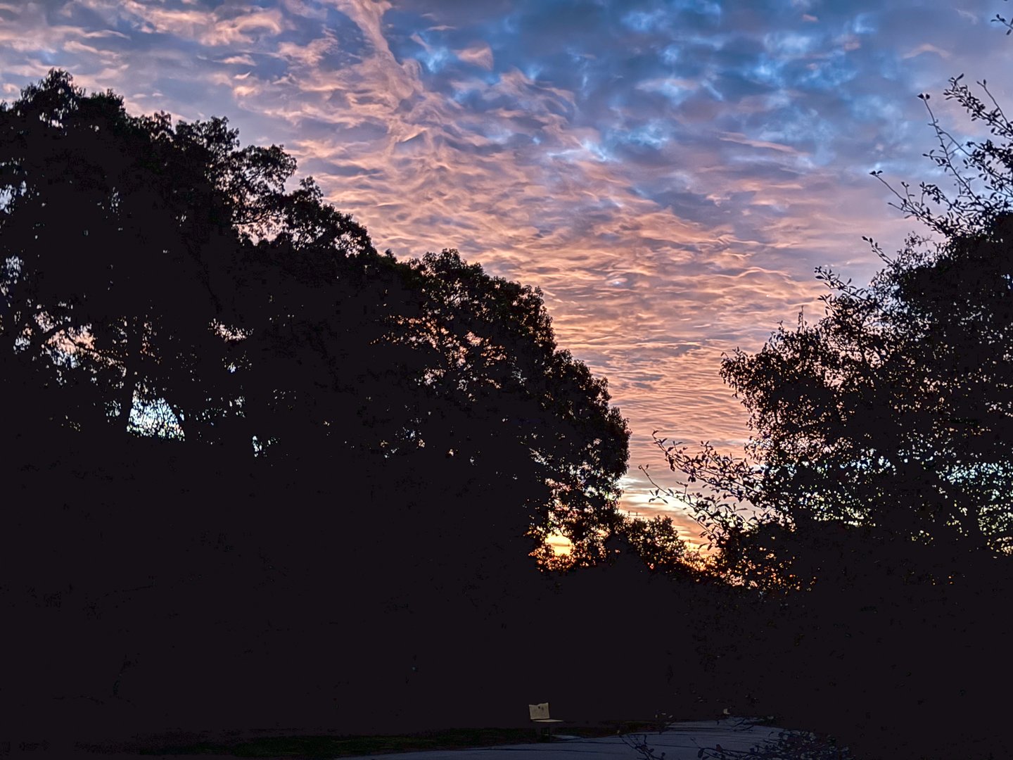 Morning Dark