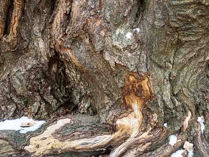 More Roots