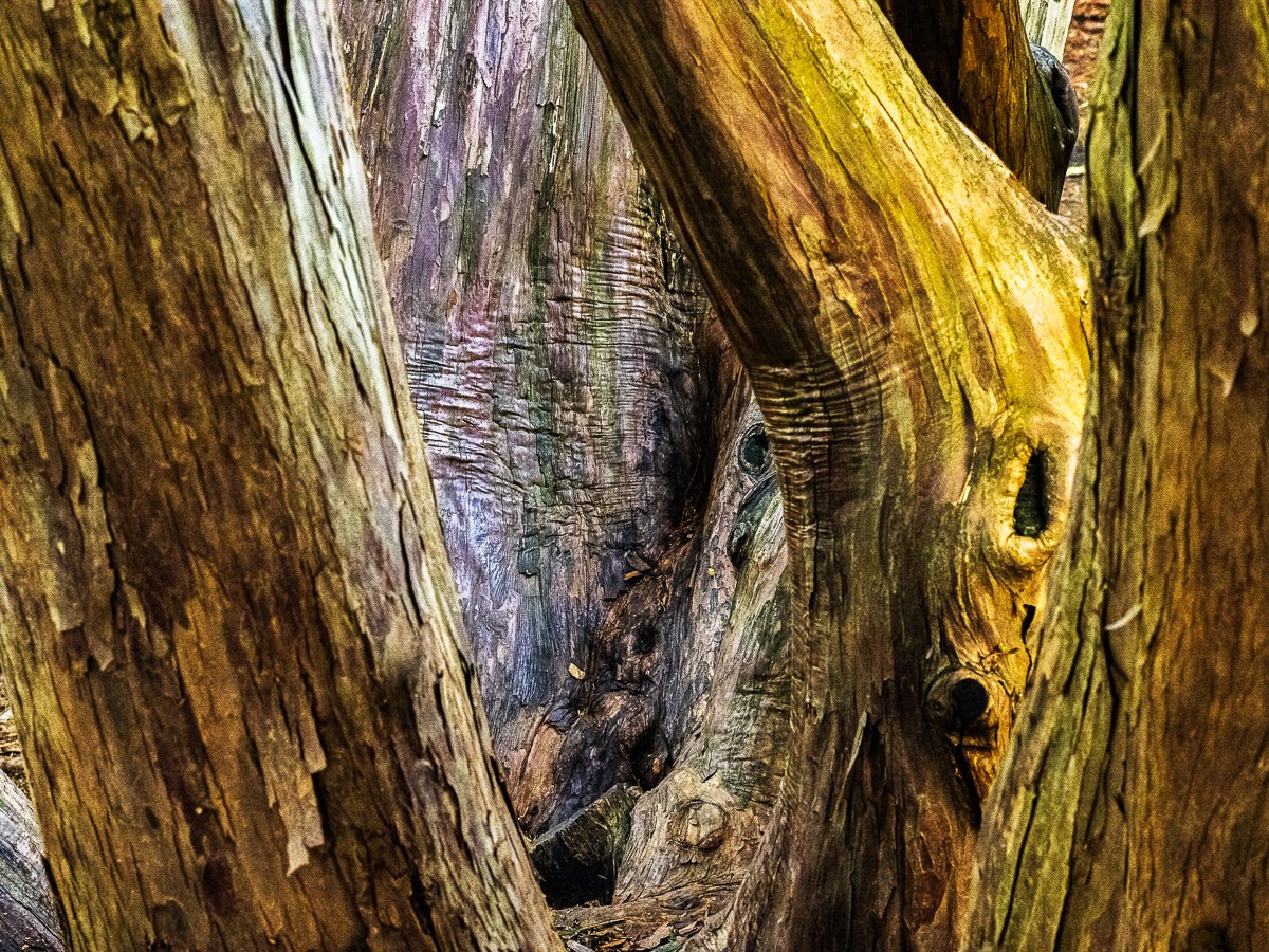 Odd growth