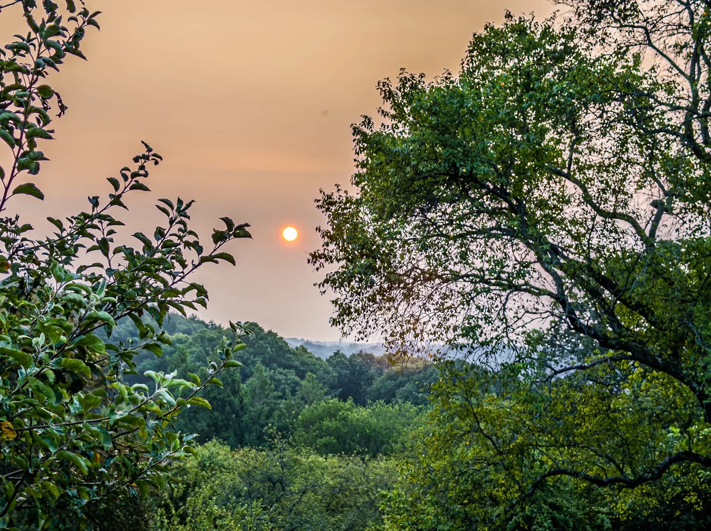 Late Summer Morning
