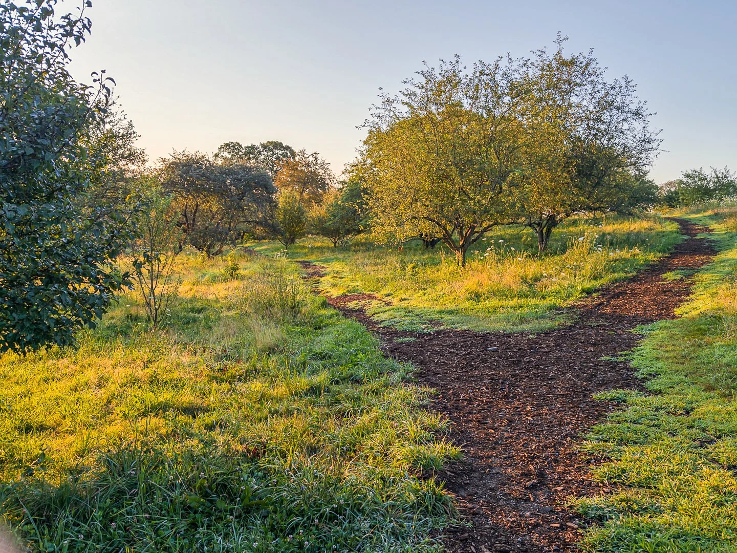 Two Roads