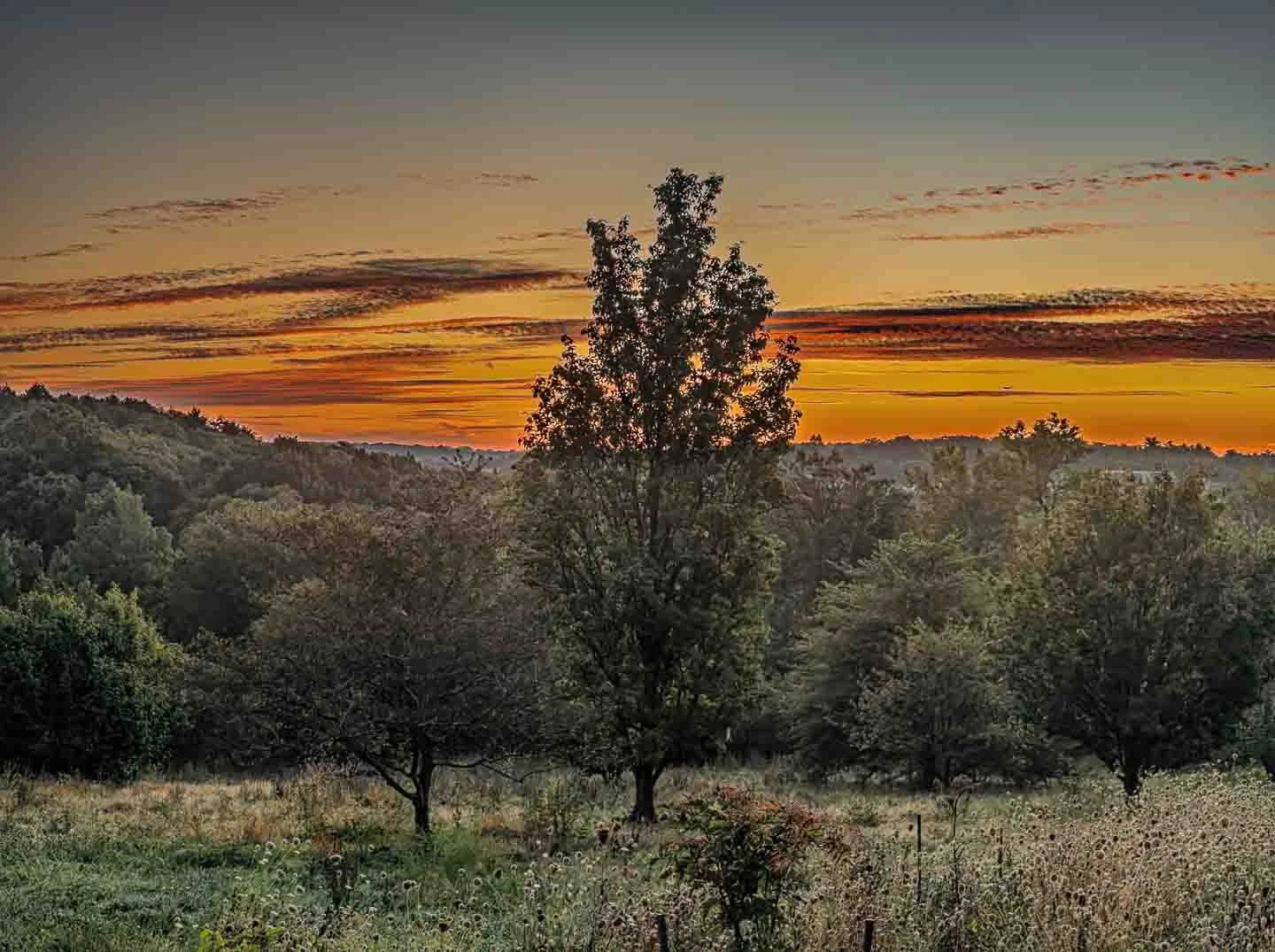 Peters Hill Sunrise #2