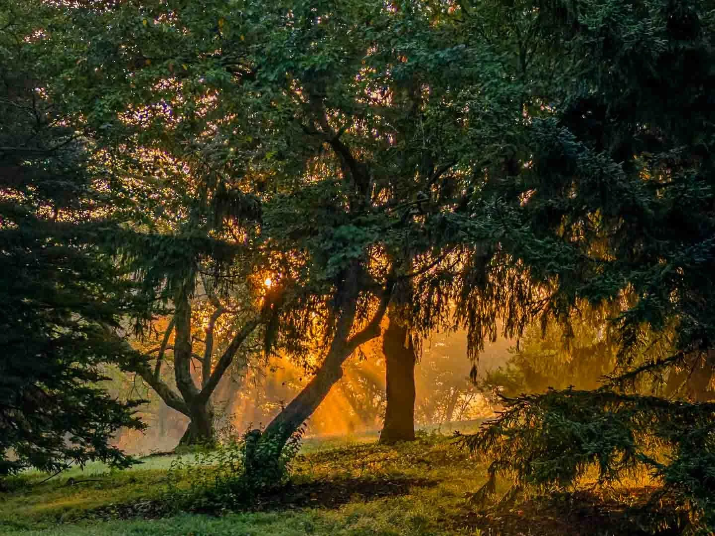 Peters Hill sunrise