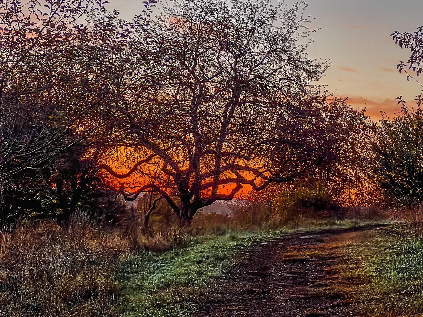 Early Light