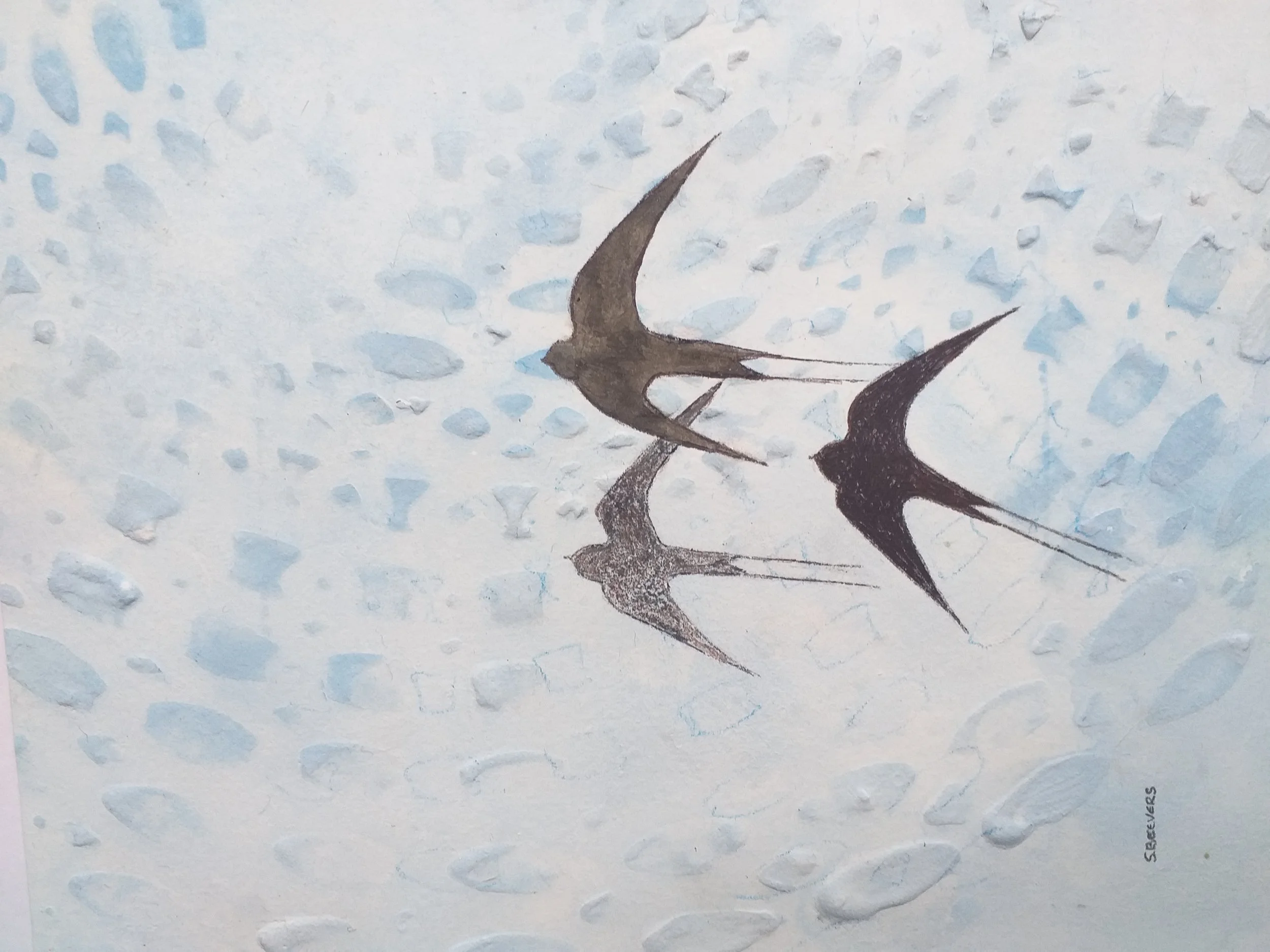 Aerial lifestyle 1.jpg