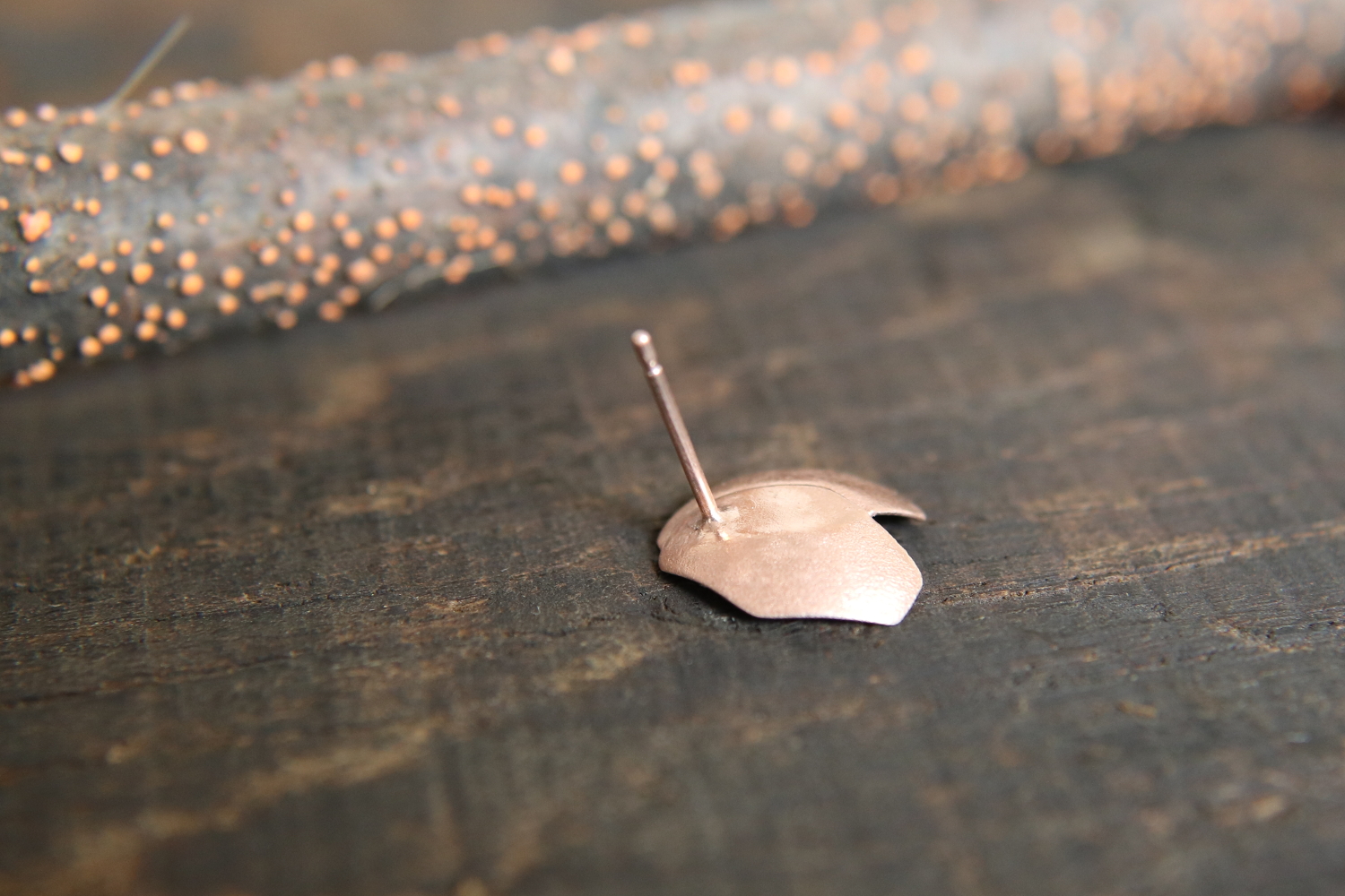 back-roseleaf-ear.jpg