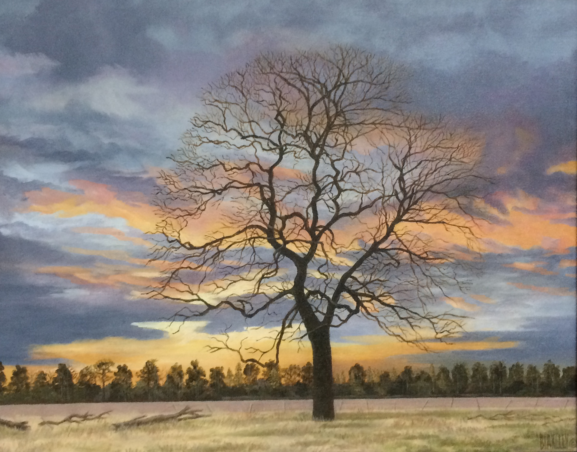 David Blakeley Work.JPG