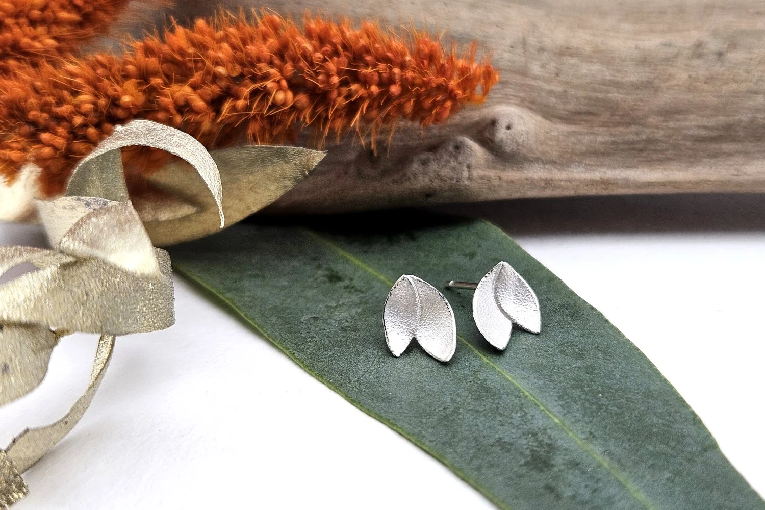 small euc petal ear.jpg