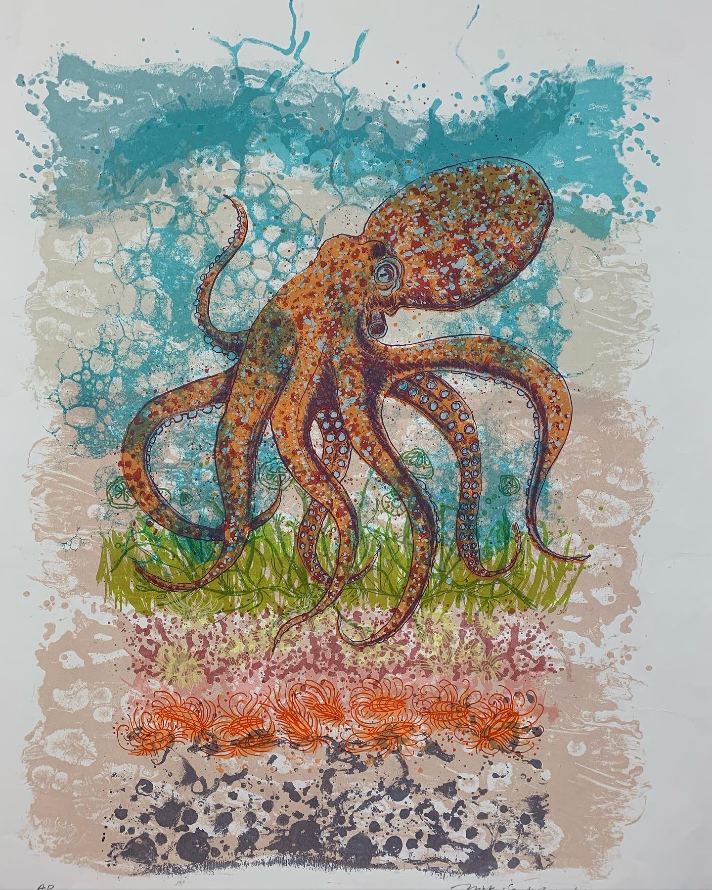 Nicky_Sanderson_Fanfare_for_the-Common_Octopus.JPG