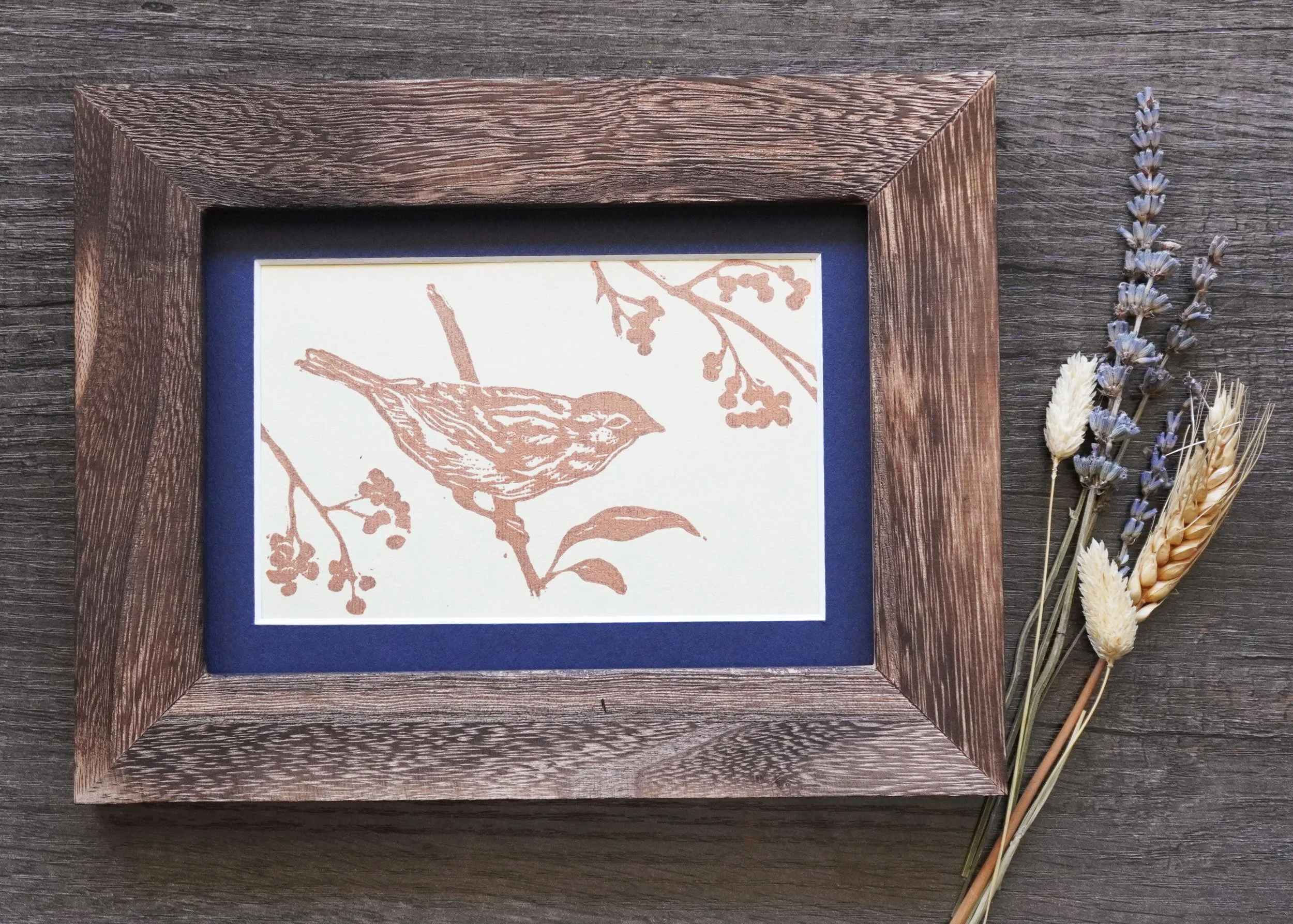 bird-frame.jpg