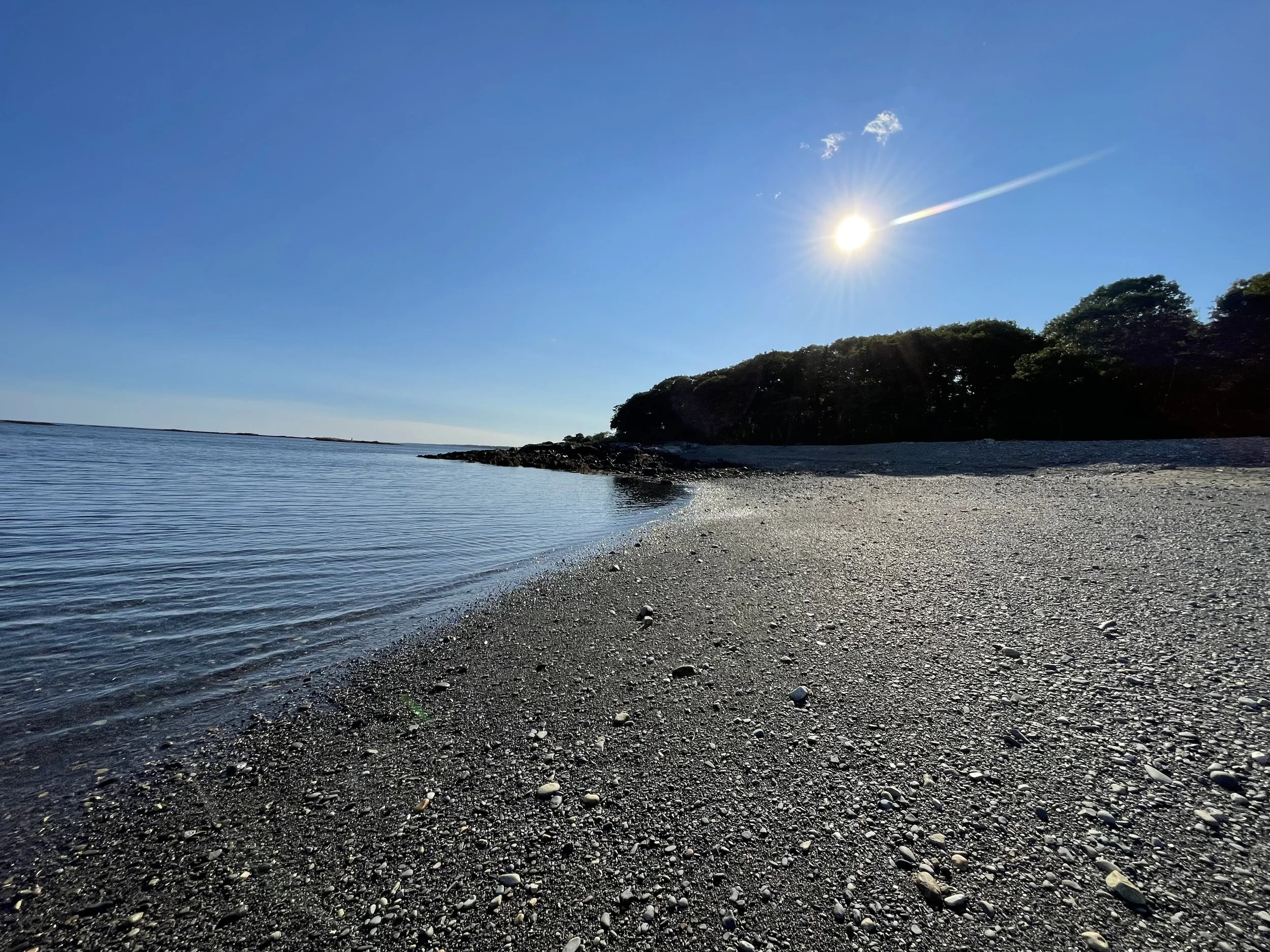 IMG_5229.jpeg