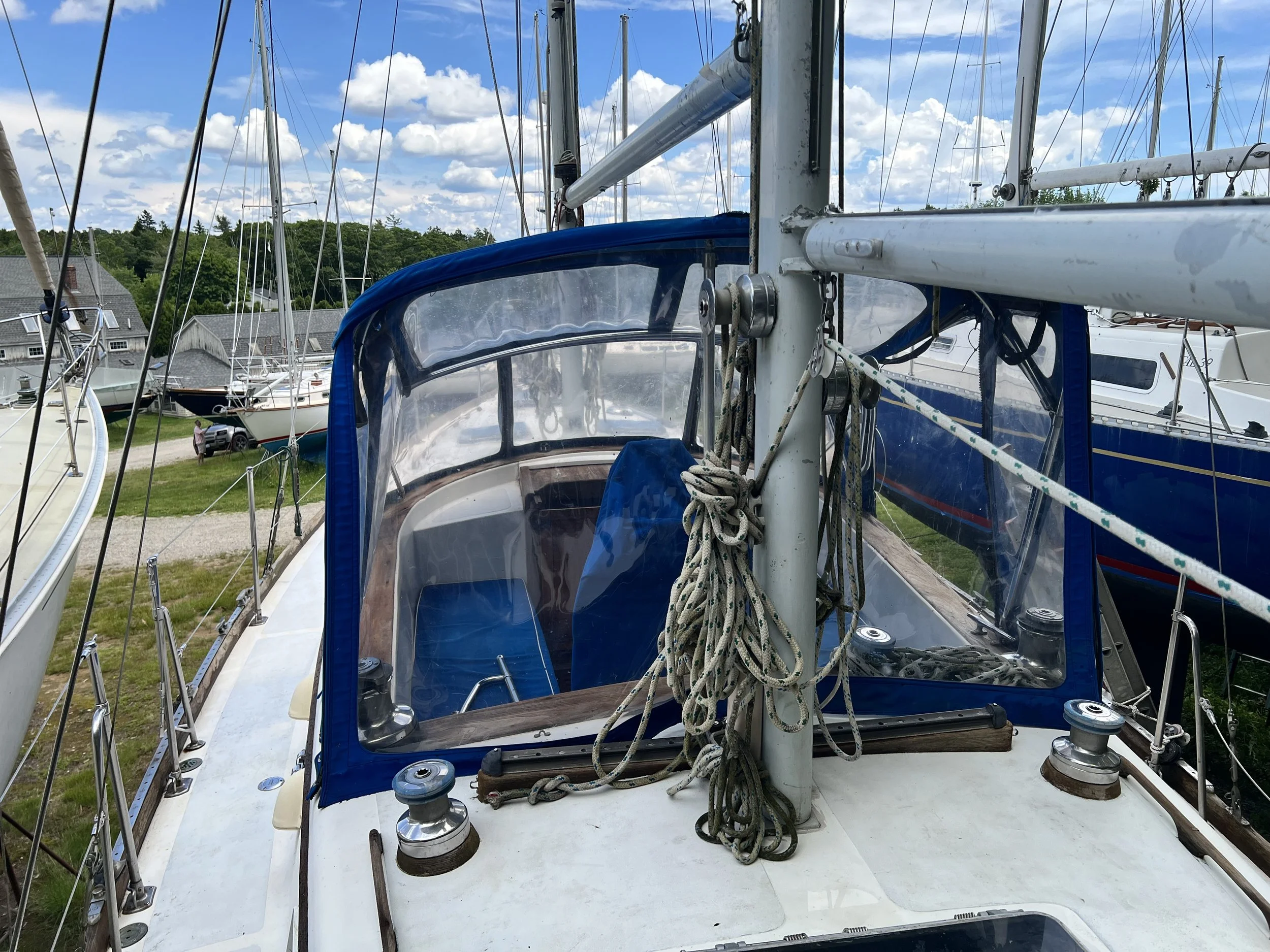 IMG_4226.jpeg