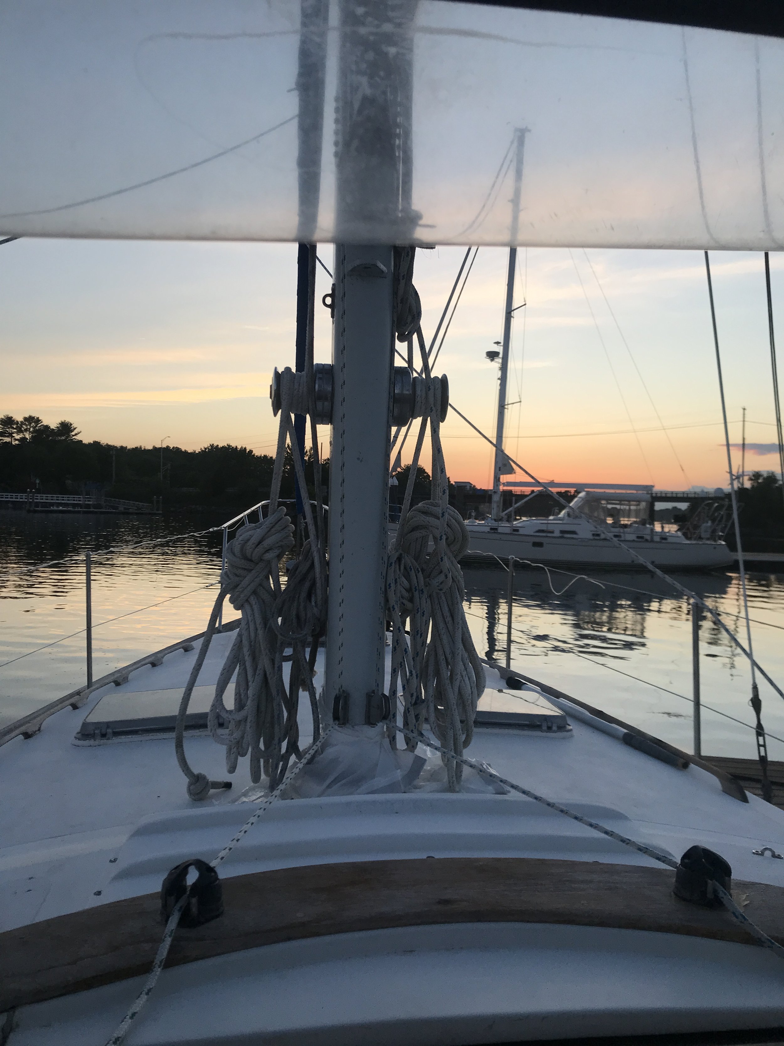 IMG_7746.jpeg