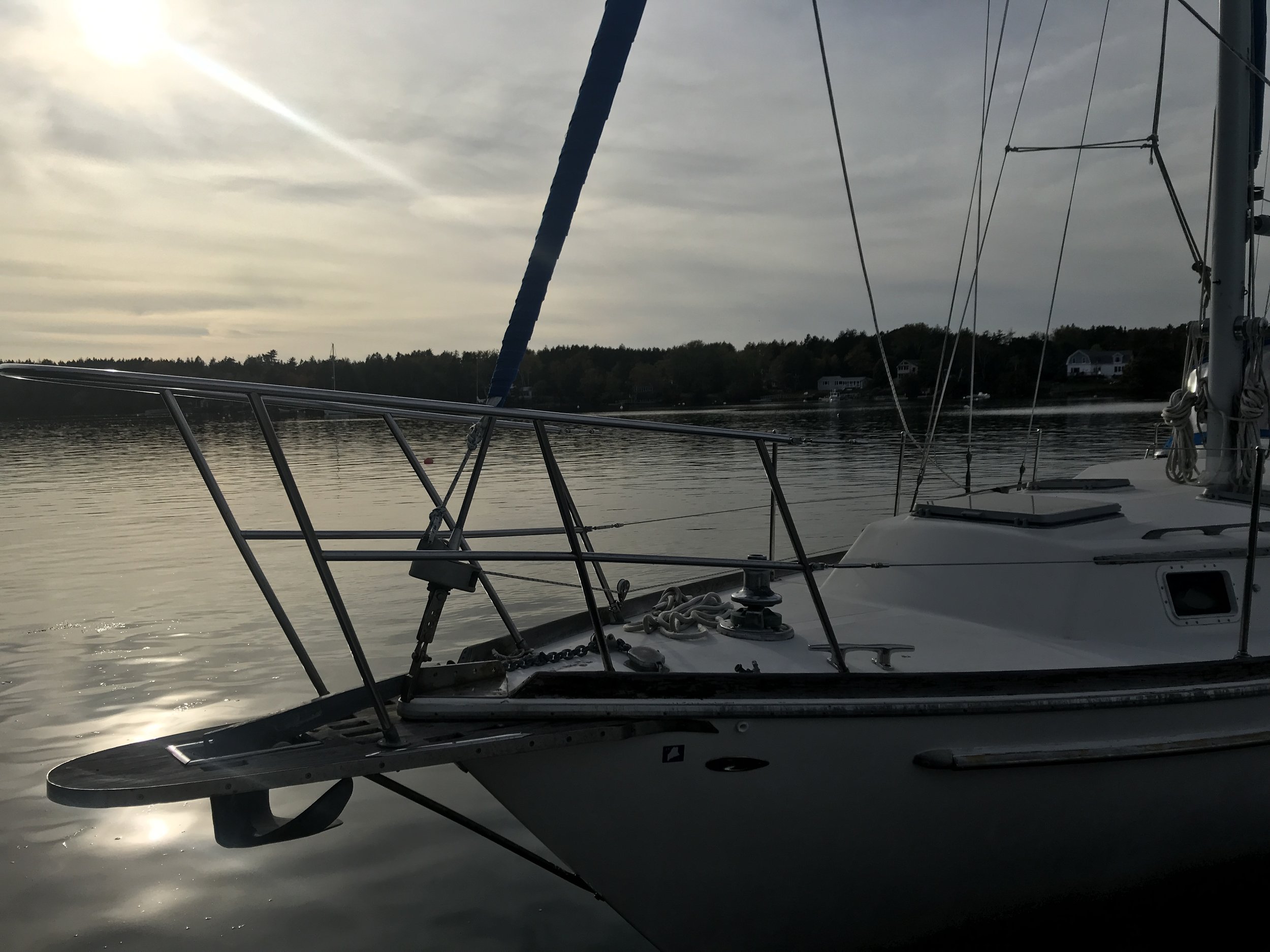 IMG_8667.jpeg