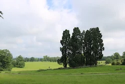 Inspiring Ludlow, Shropshire and Worcestershire