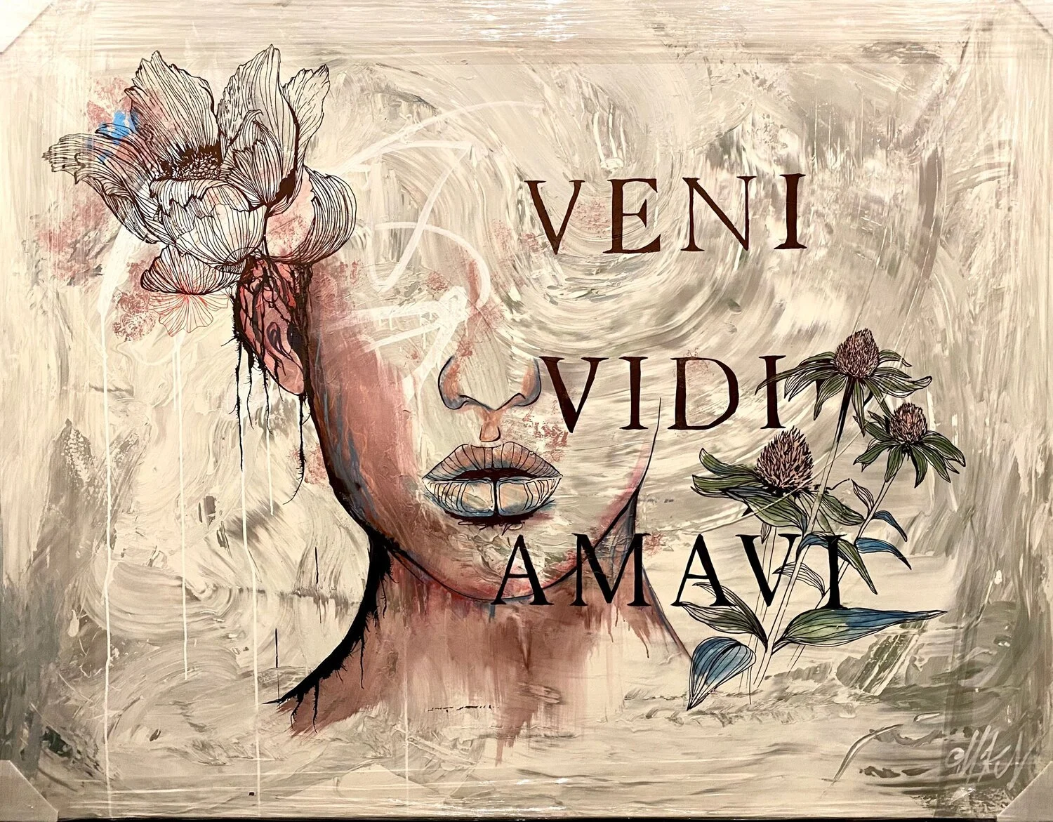 Veni Vidi Amavi.jpg