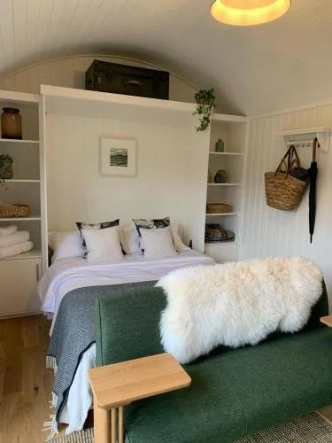 room.jpg