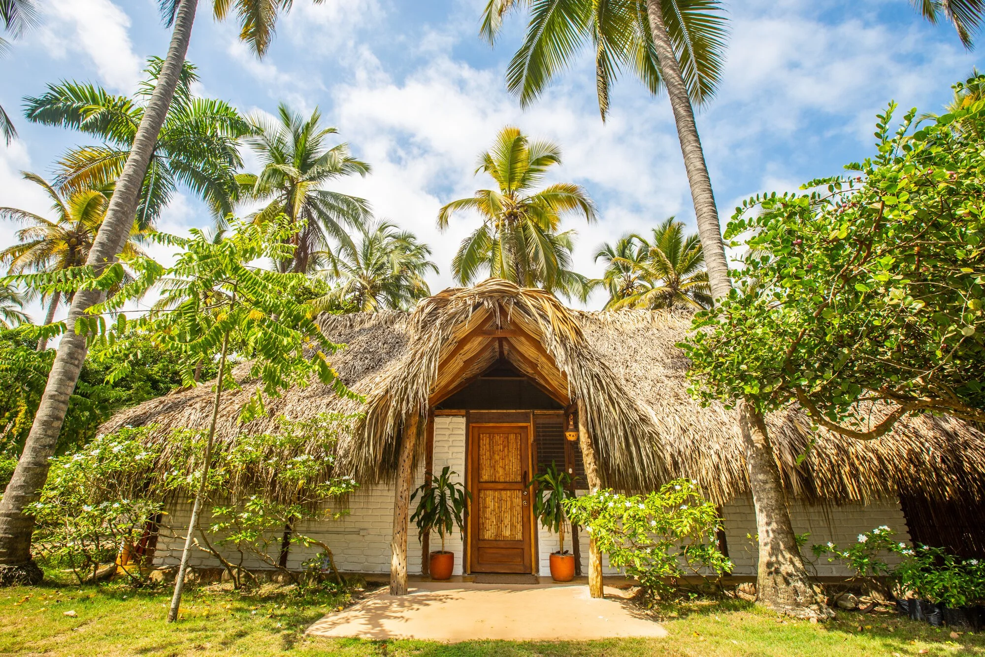 A tropical hut with a thatched roof, surrounded by palm trees and green foliage, under a partly cloudy sky.