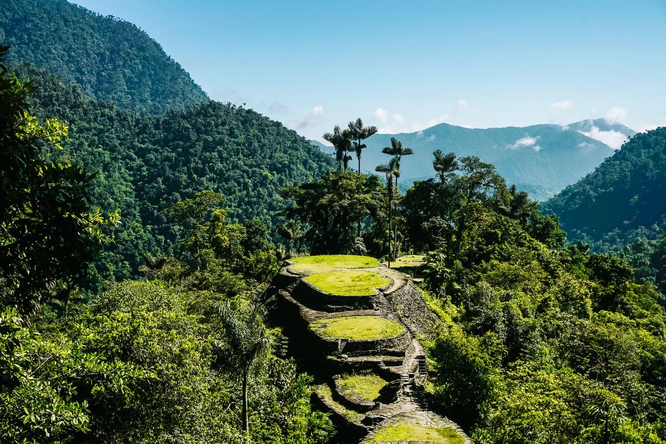 Ancient stone steps leading up a mountain in dense jungle, with tall trees and lush greenery, under a clear blue sky.