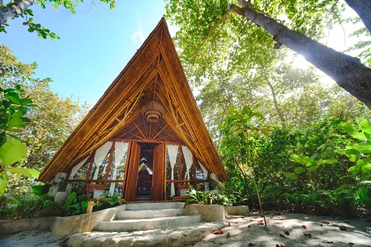 A wooden A-frame house surrounded by lush green trees and plants, with steps leading up to the entrance, in a forest setting under a bright blue sky.