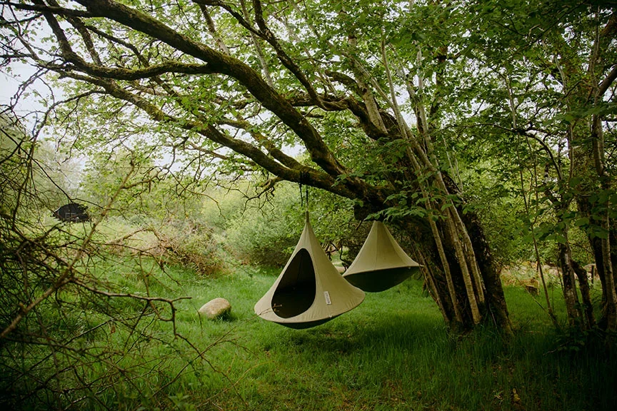 pods.webp