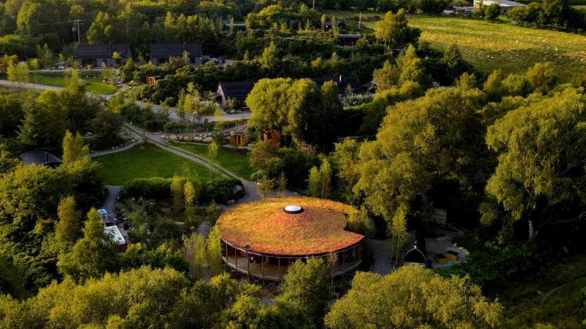 aerial view.webp