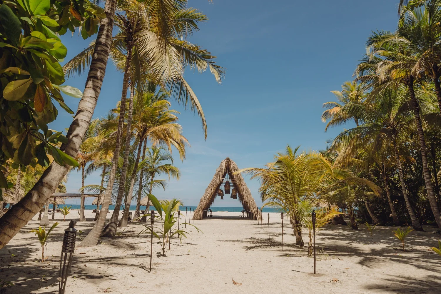 Tropical beach scene with tall palm trees, a sandy pathway leading to a thatched-roof hut with hanging bells, and the ocean in the background under a clear blue sky.