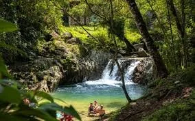 People swimming in a natural pool near a waterfall in a lush green forest.