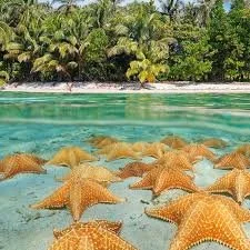 Bocas del Toro, Panama