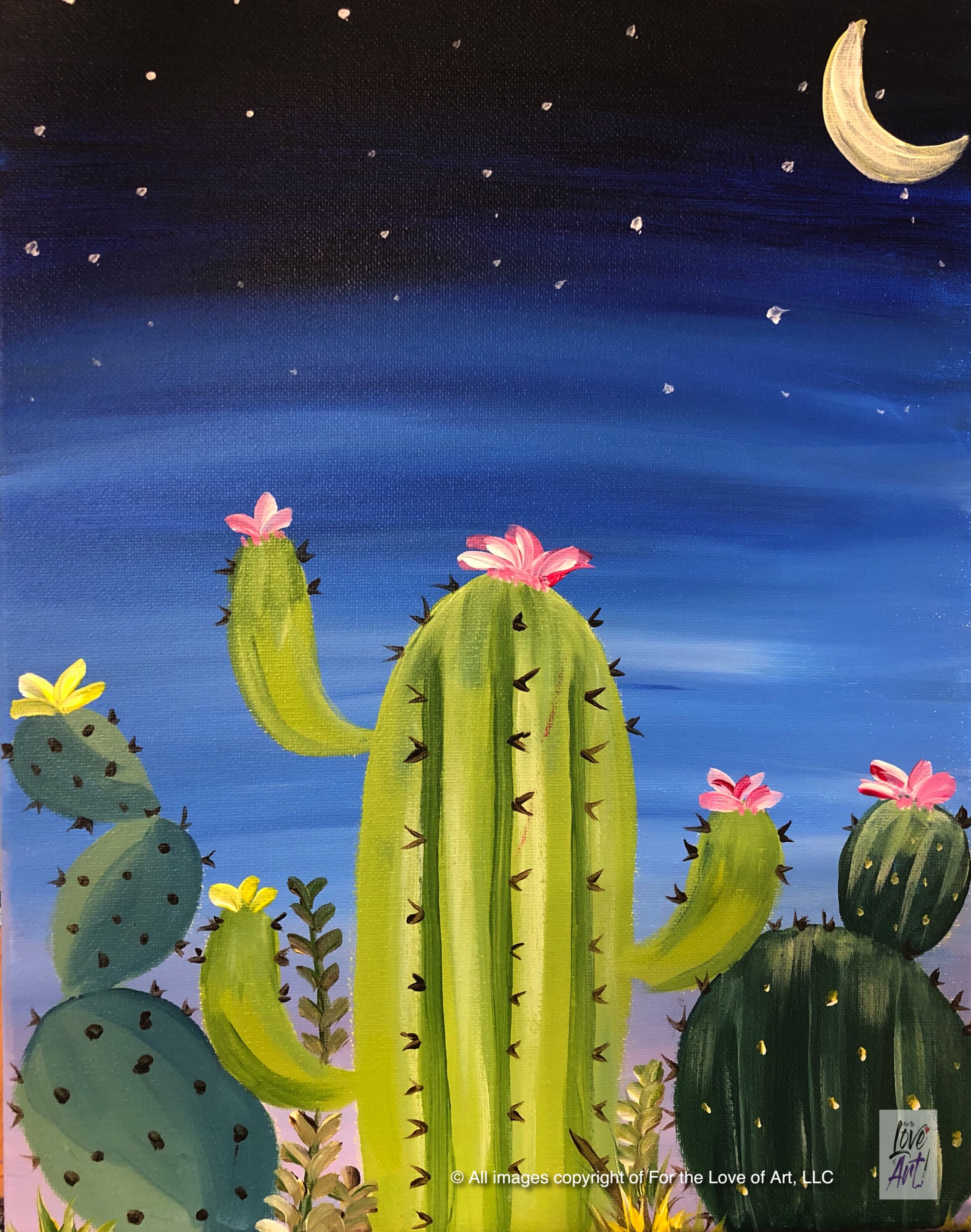 Evening Cactus