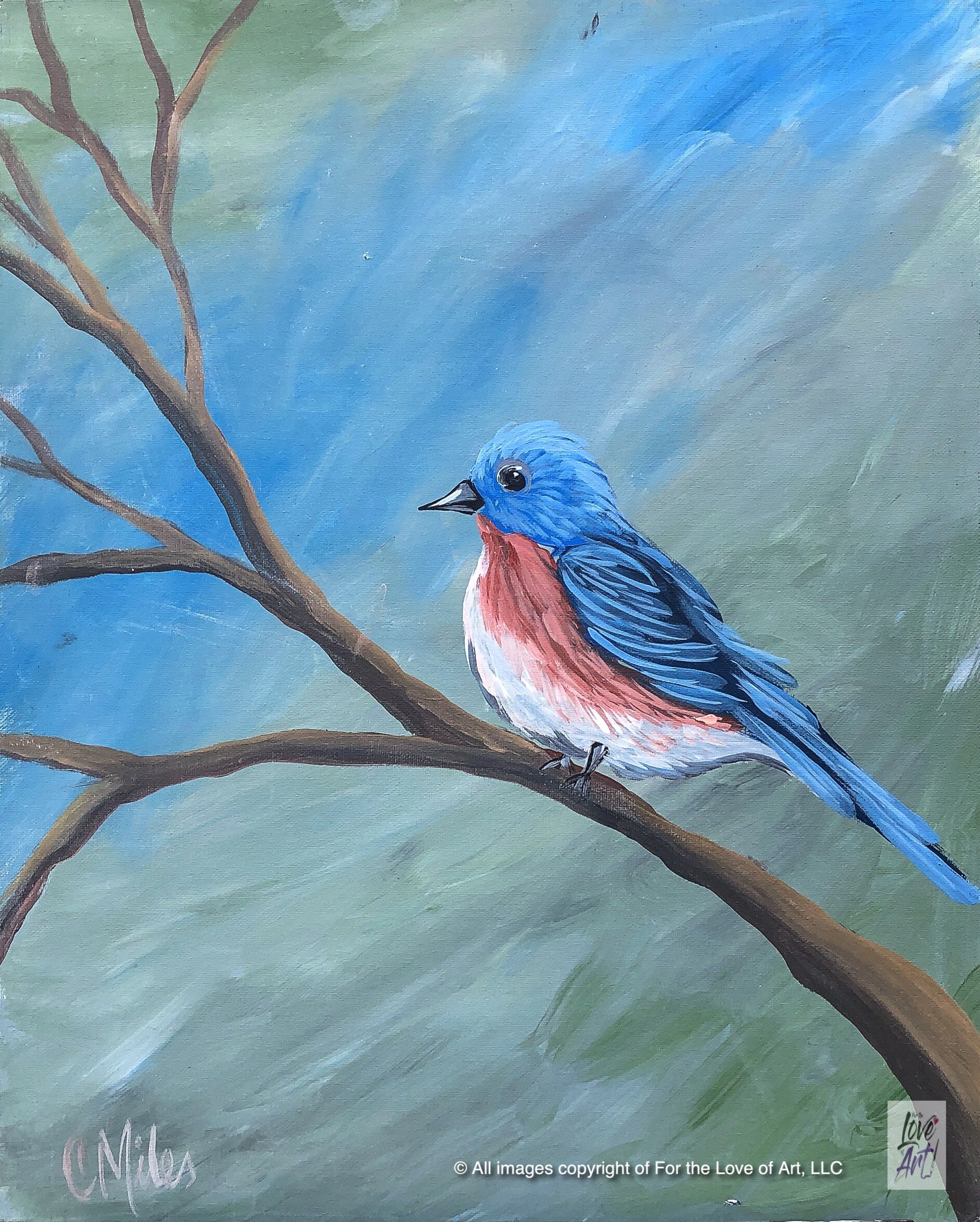 Morning Robin