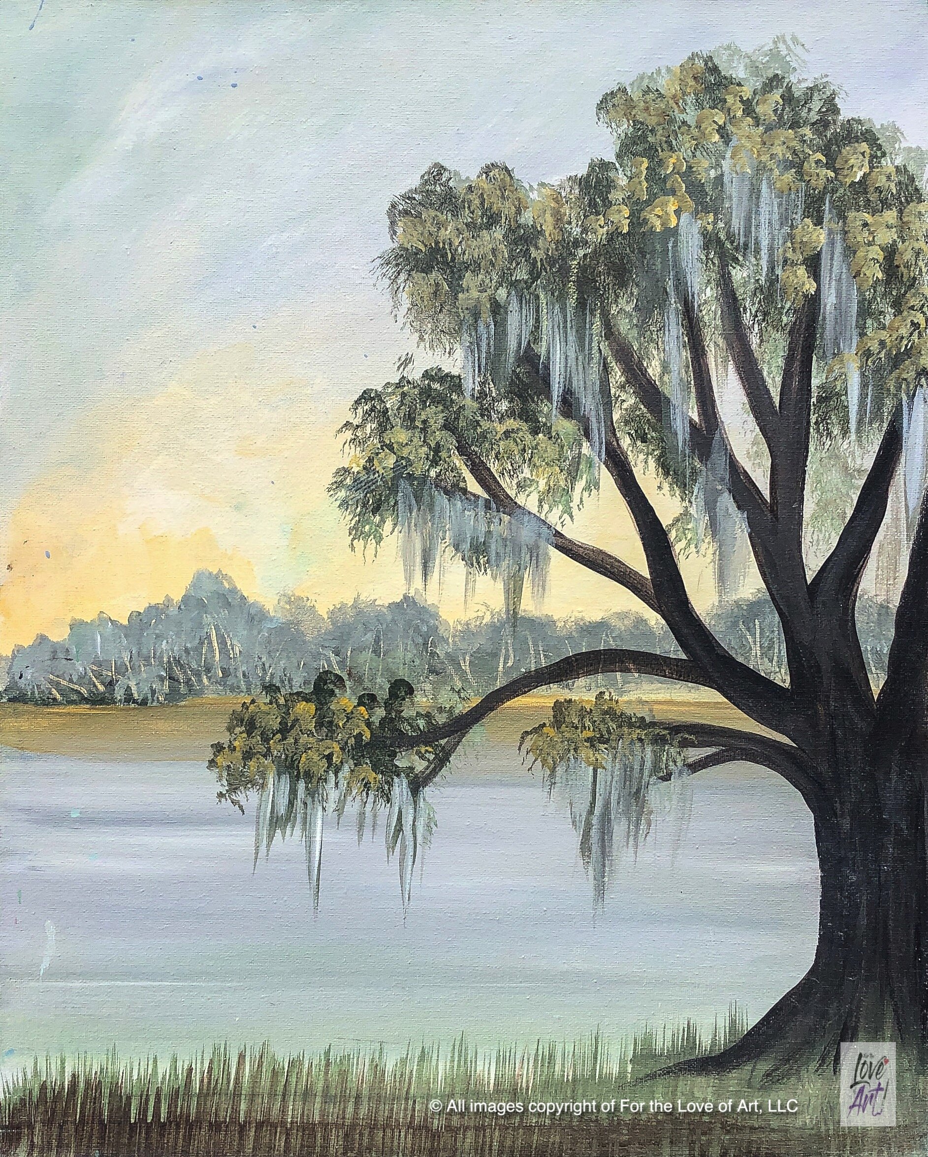 Live Oak at Dawn
