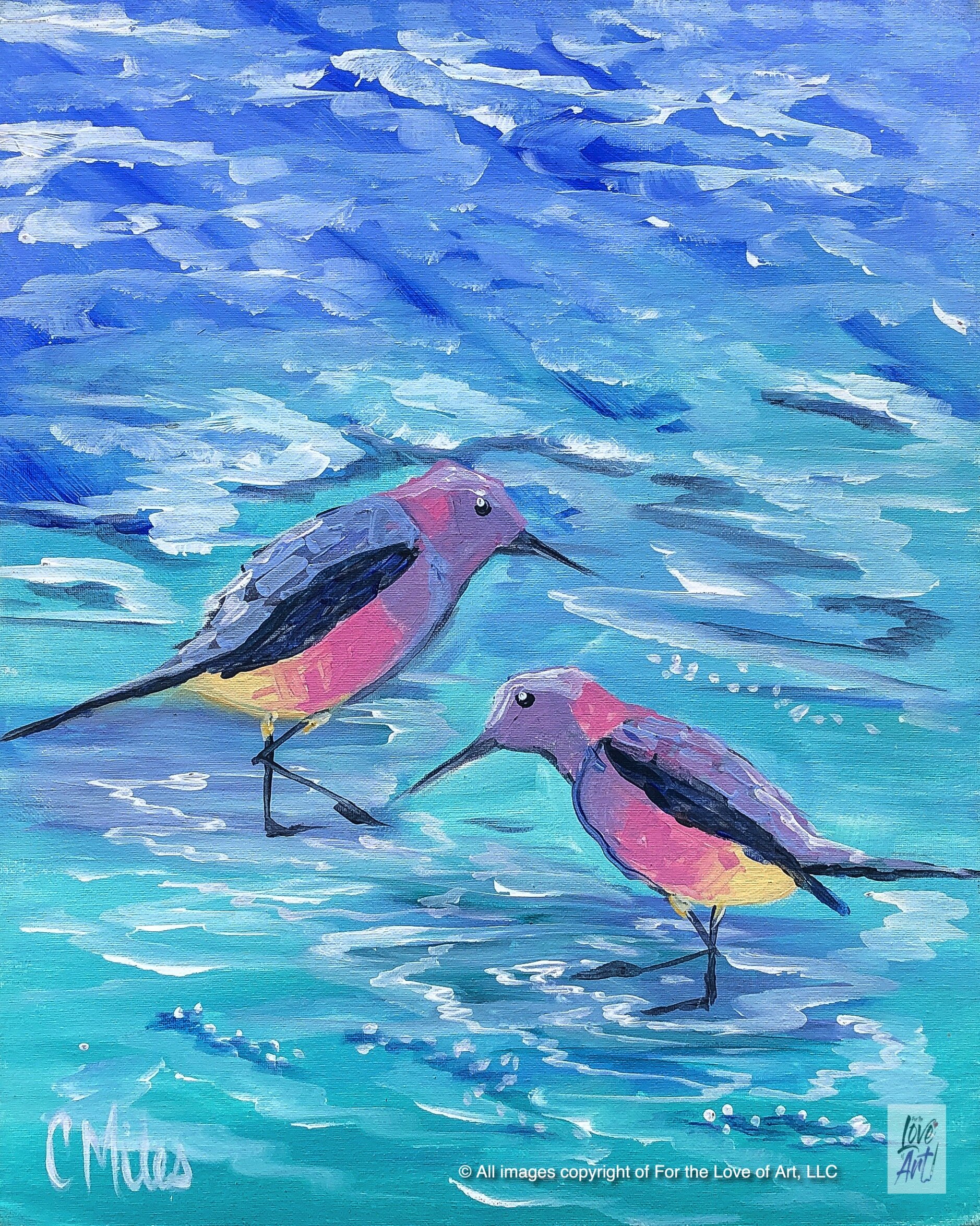 Colorful Birds