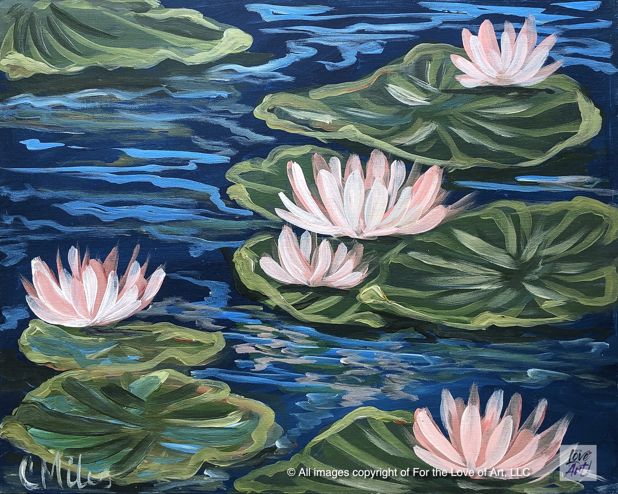 Lilly Pads
