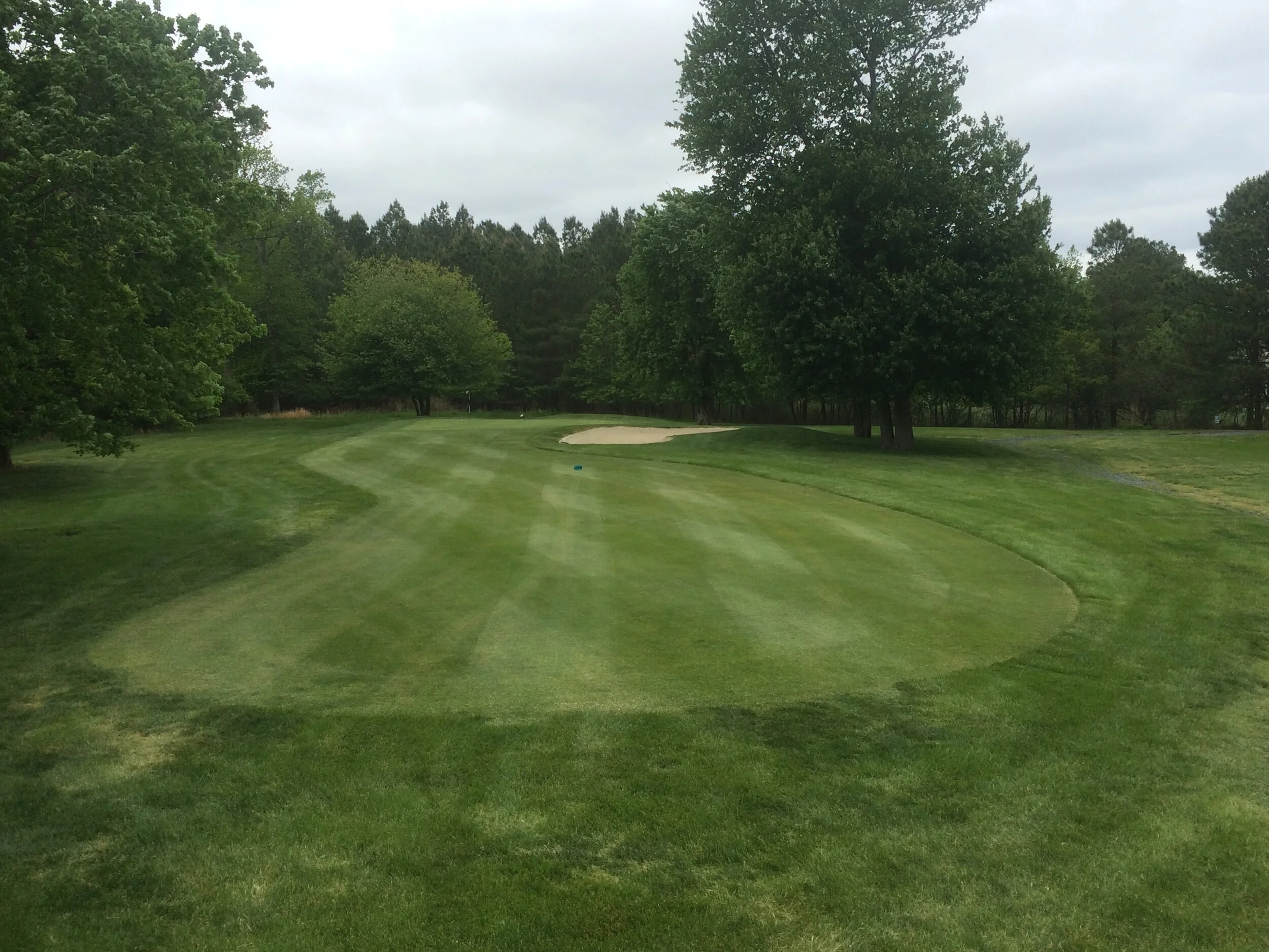 Hole 3 Spring 2018.JPG