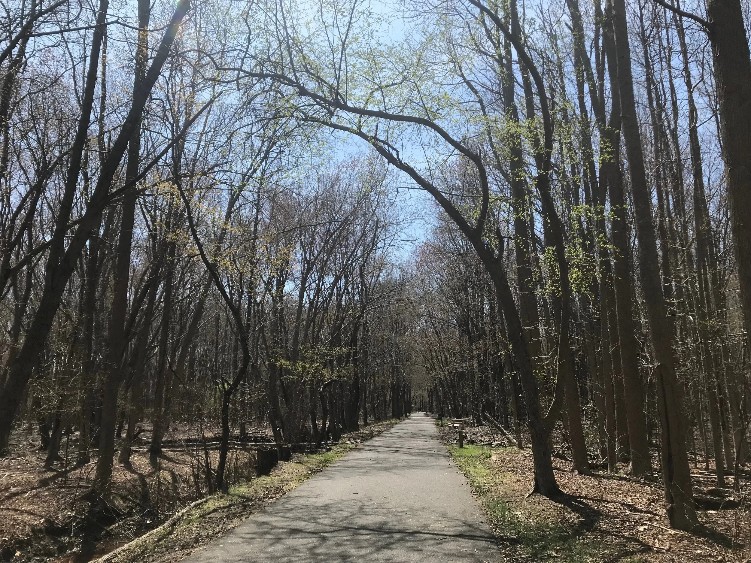 Let's take a walk (and here are 5 reasons why)