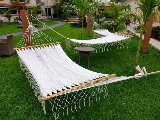 garden-area-hammocks.jpg