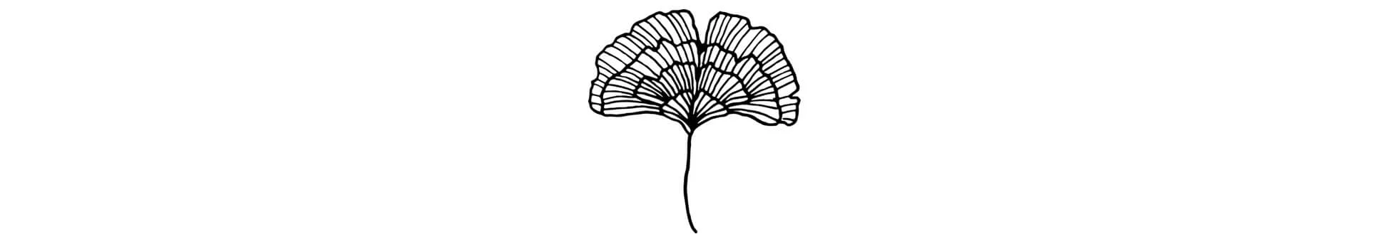 gingko colorado.jpg