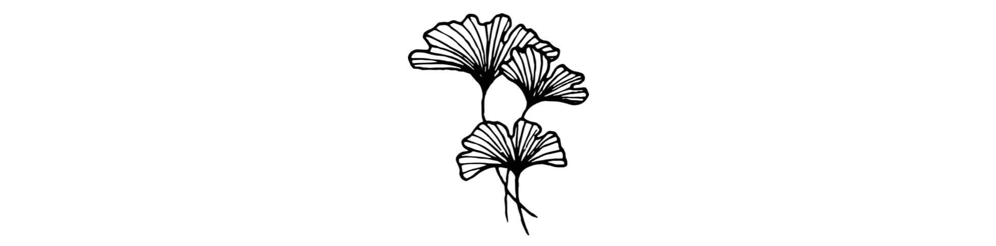 gingkos nature elopement.jpg