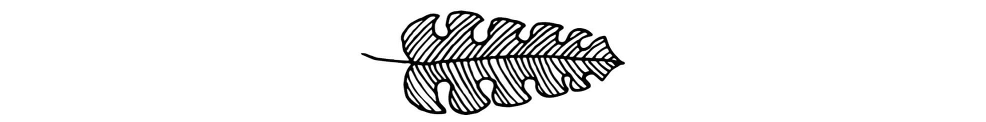 leaf%252Bwedding%252Bvideographer%252Bboulder.jpg