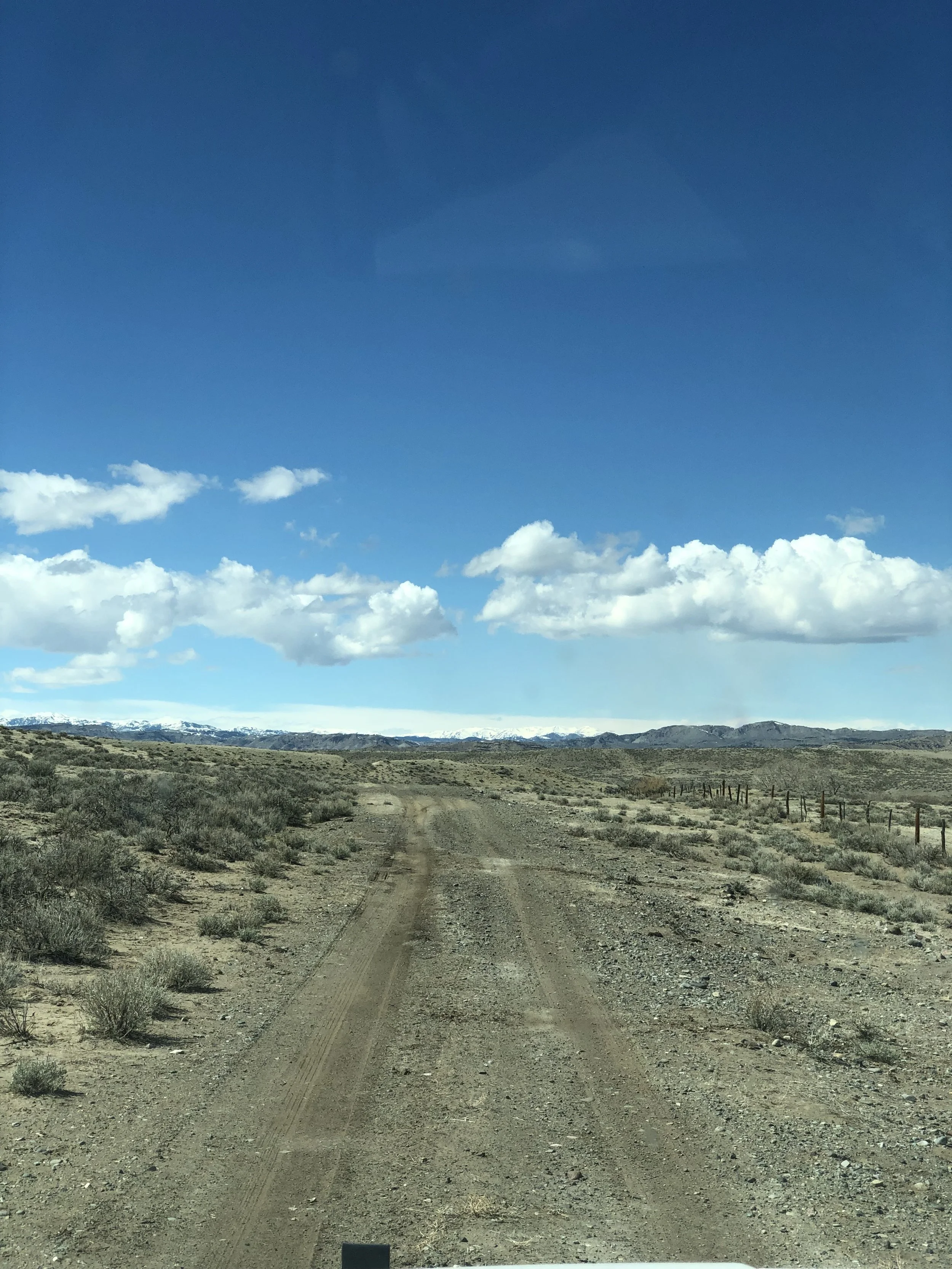 The Dirt Road Called Life