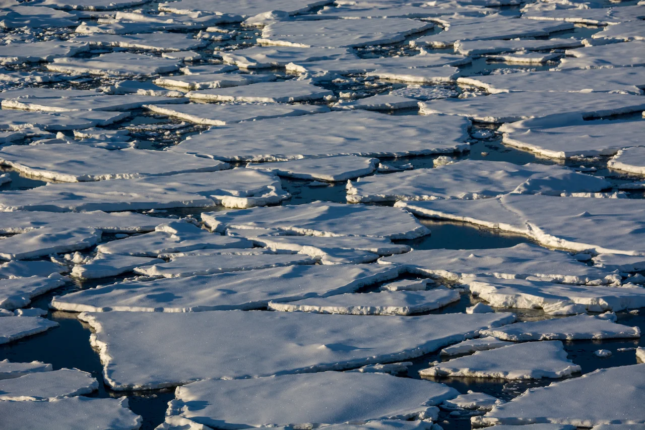 _DSC4835.jpg