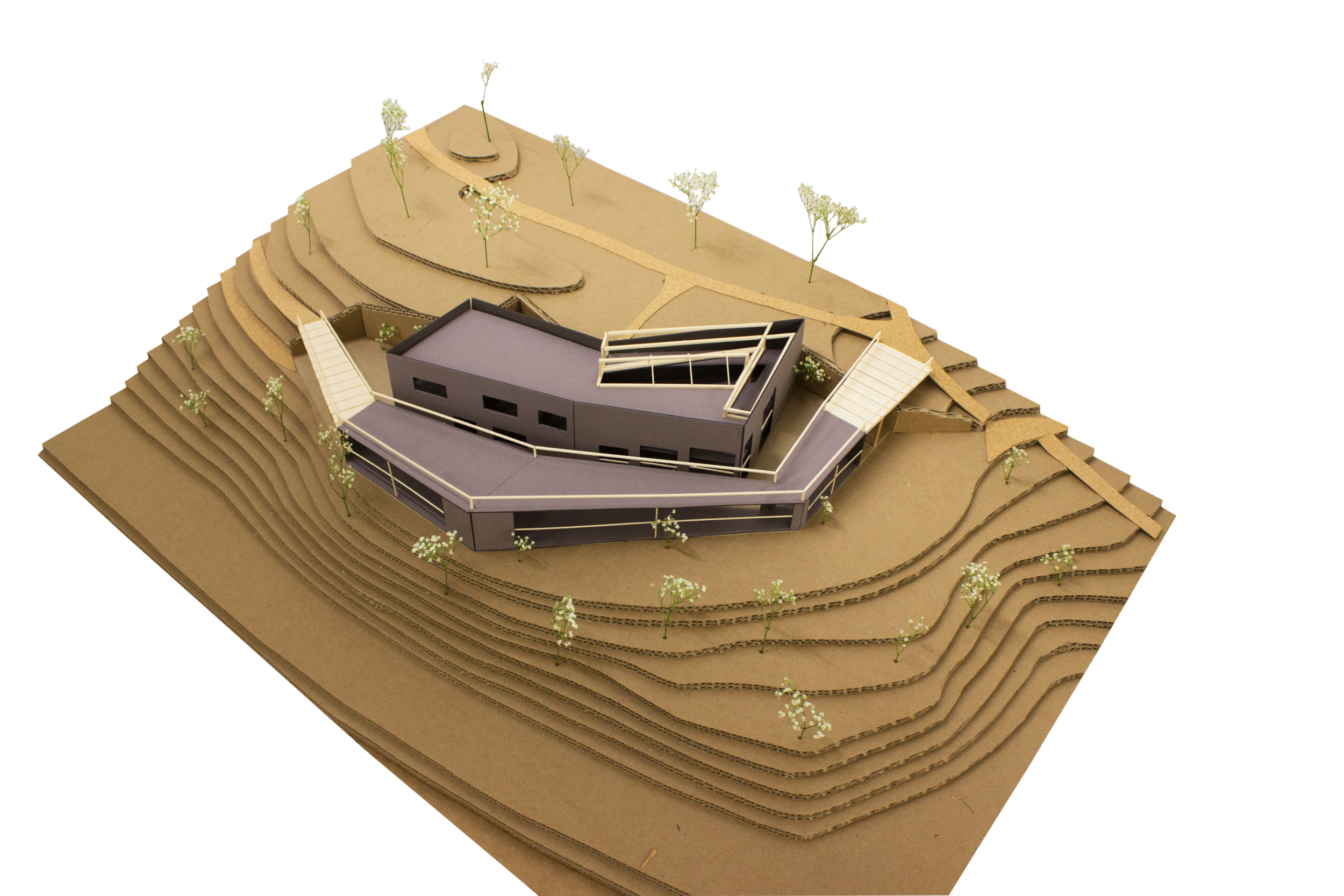 Final Model