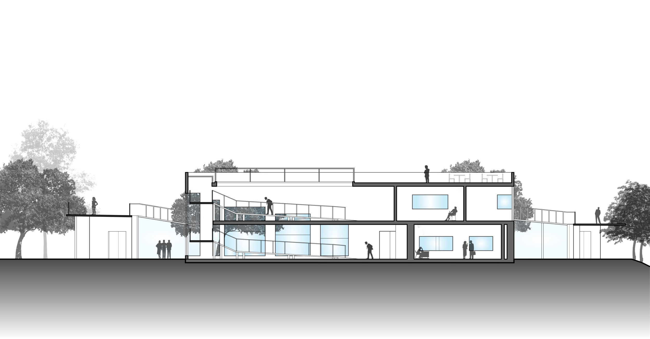 Building Section Longitudinal