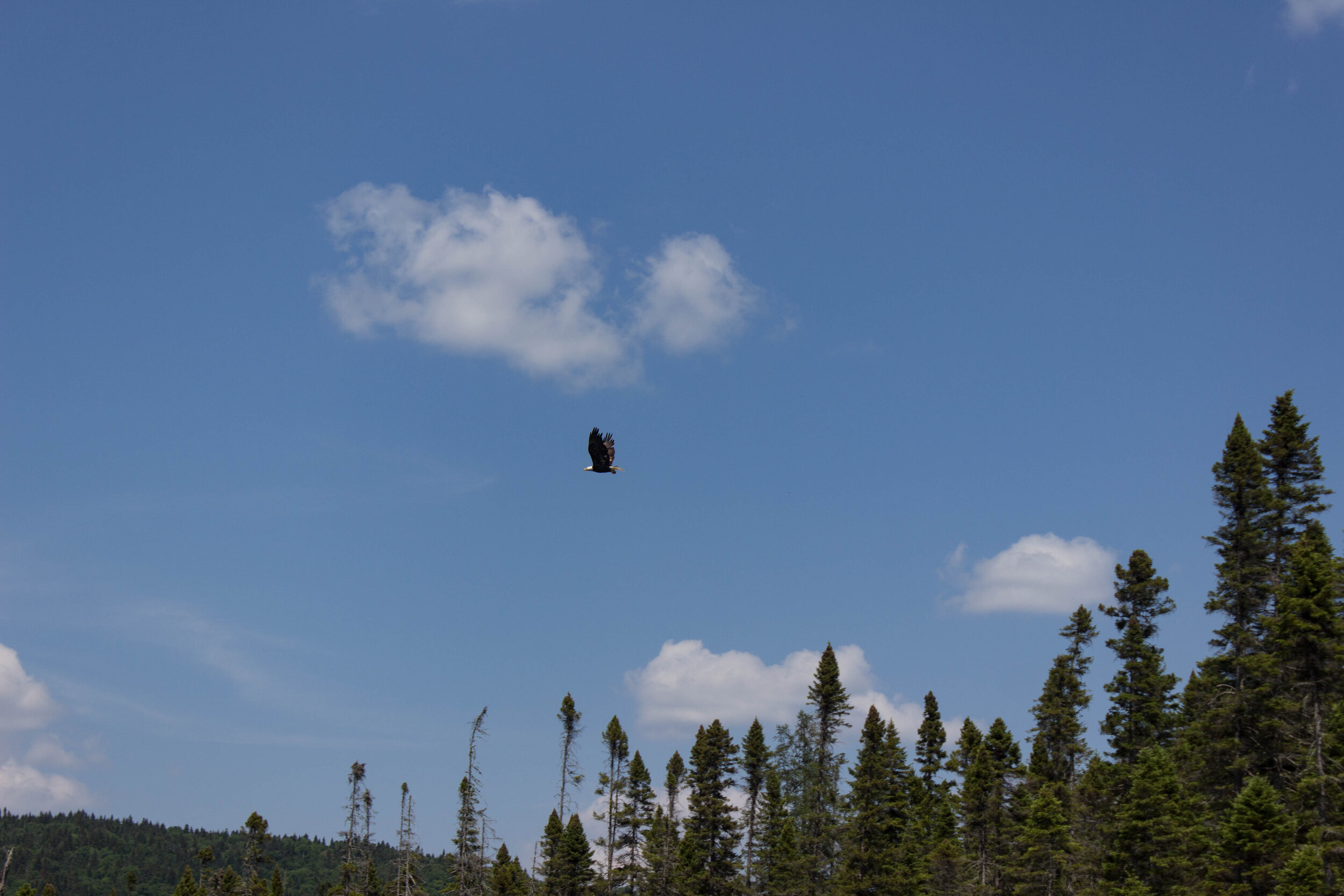 IMG_8809-1.jpg