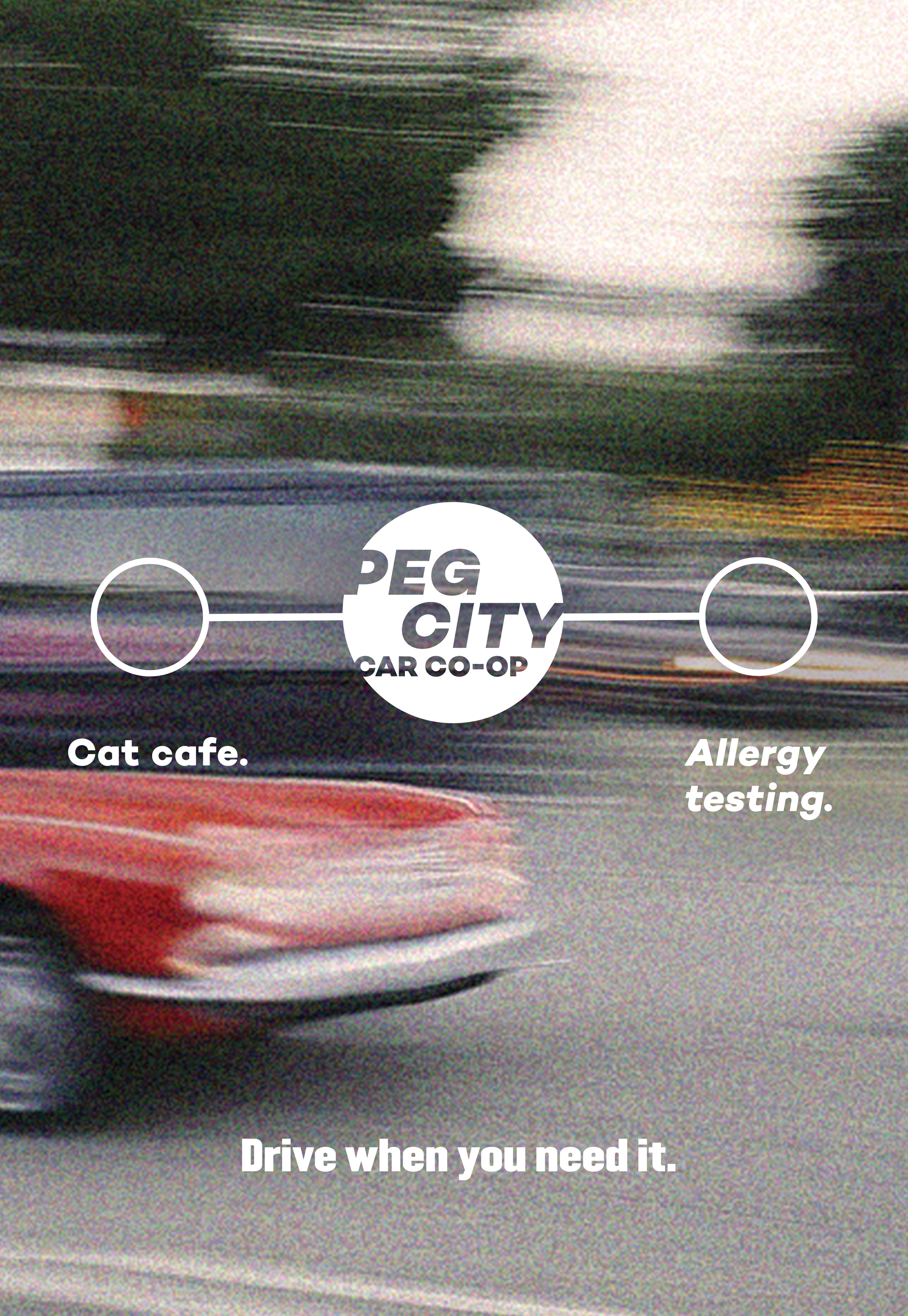 TSA-Cat Cafe-Allergy Testing.png