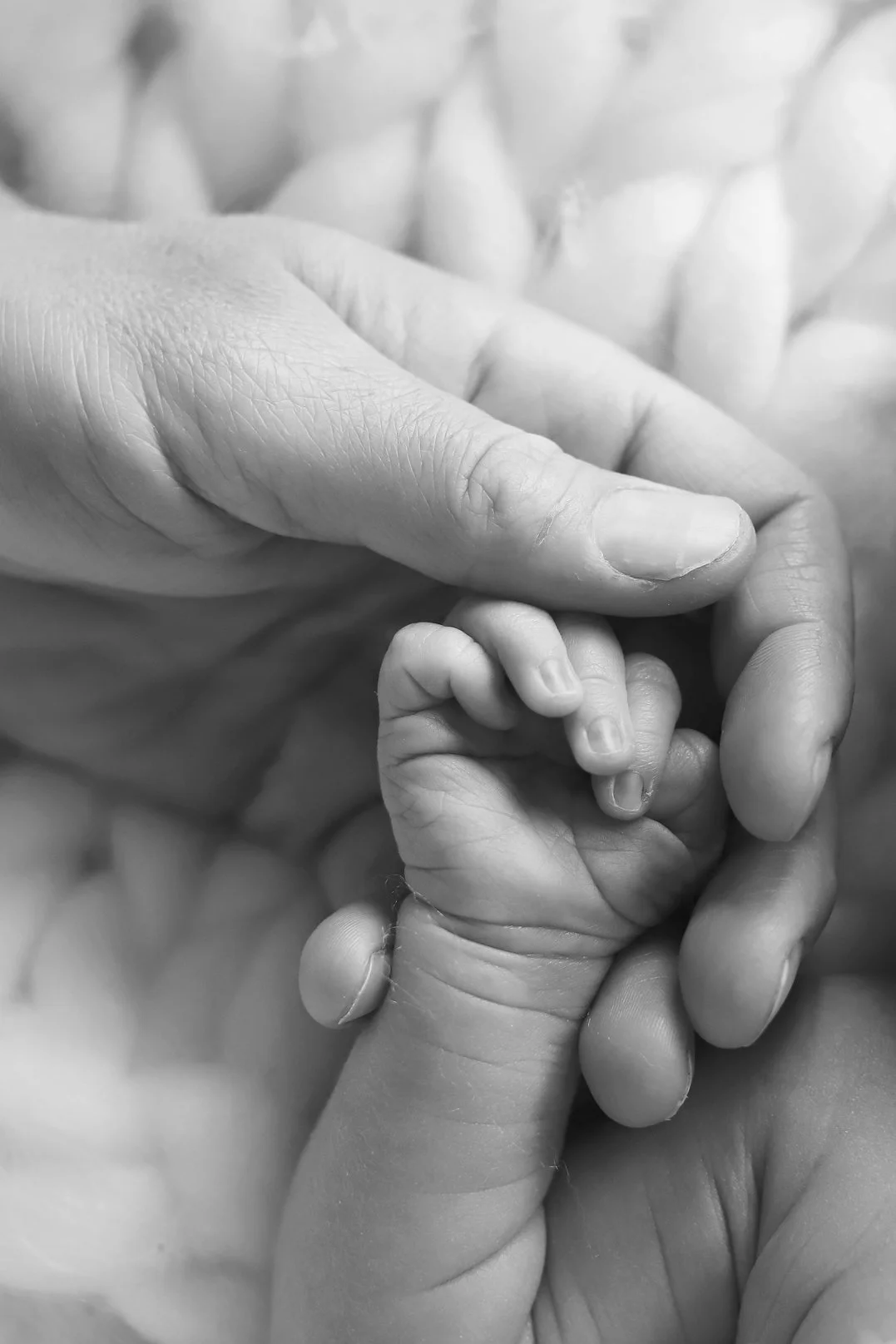 Rotterdam newborn baby fotografie