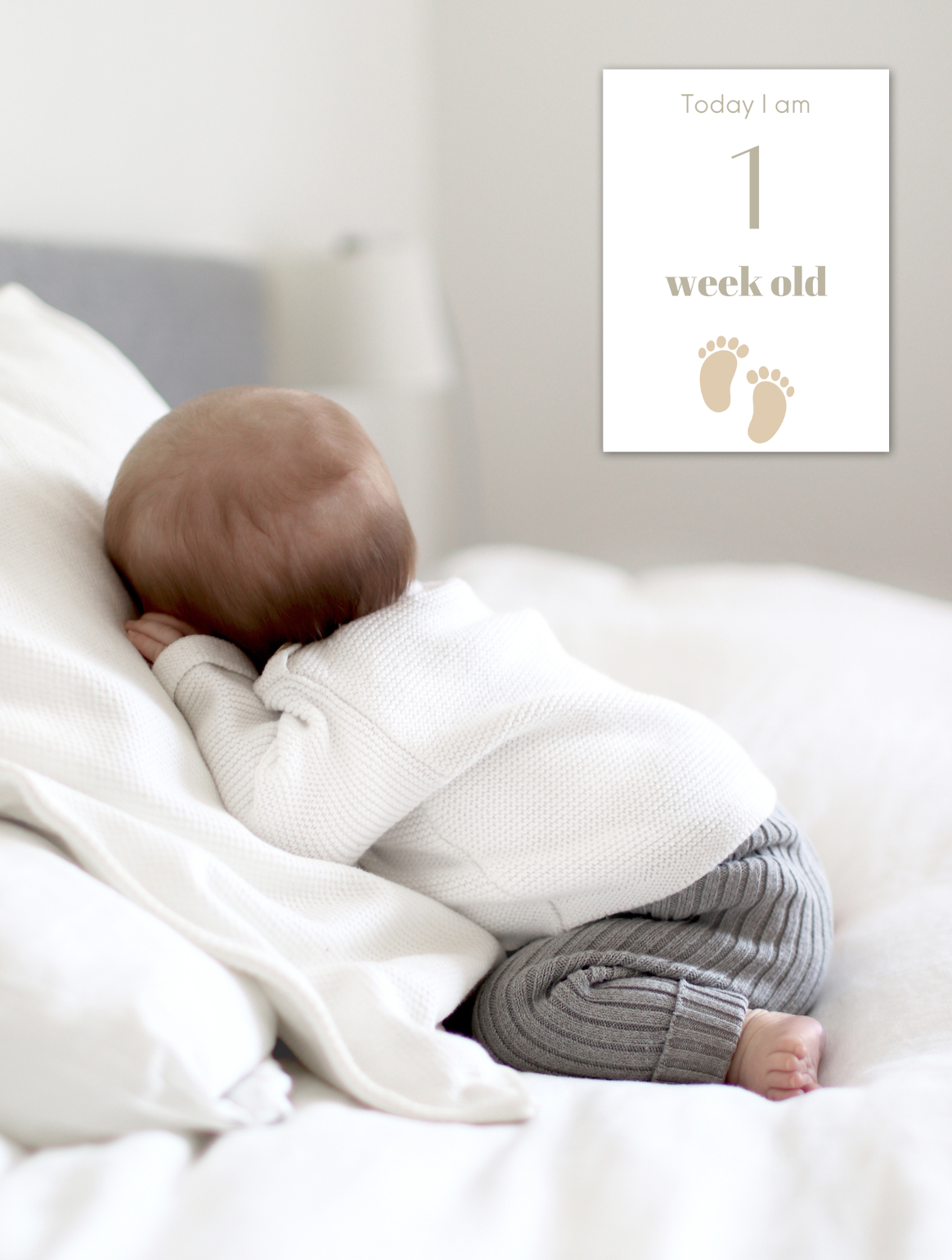 baby milestone cards Amsterdams kraamcadeautje